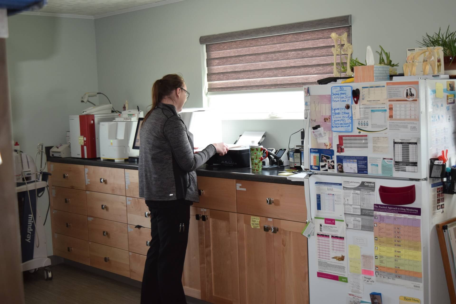 Veterinarian Reviews In Lima, OH 45805 Heidt Veterinary Hospital